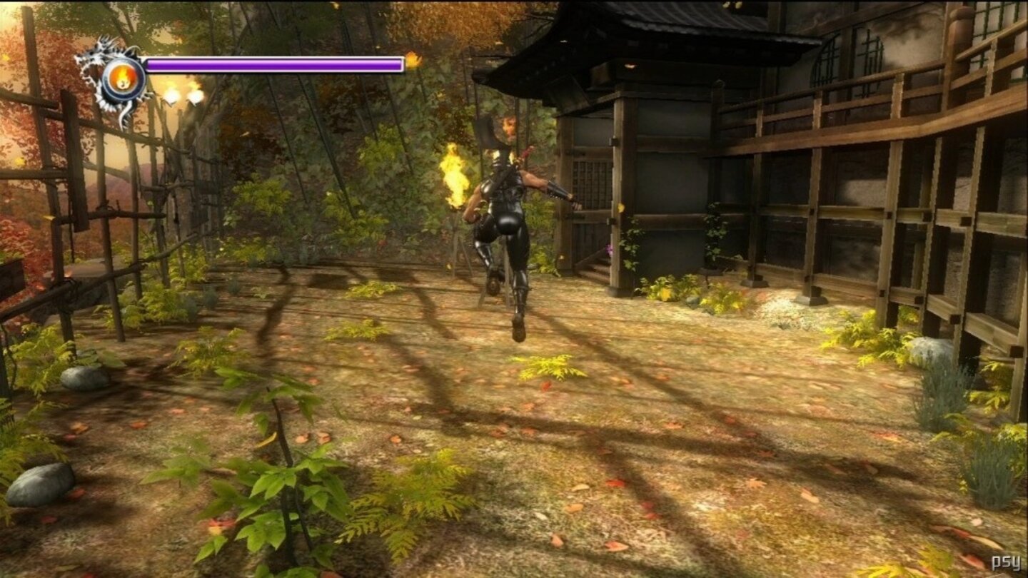 ninja gaiden sigma 13