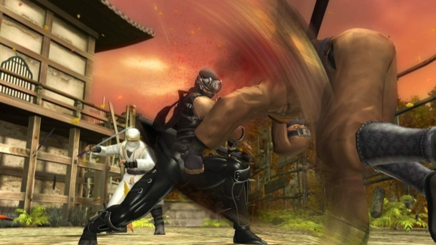 ninja gaiden sigma 15