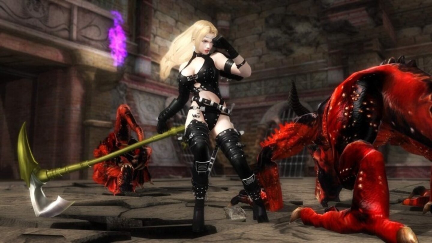 ninja gaiden sigma 17