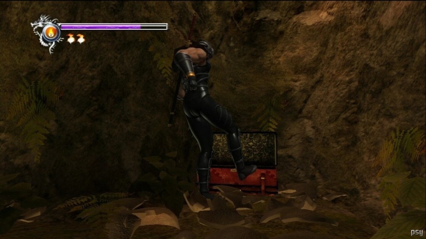 ninja gaiden sigma 17