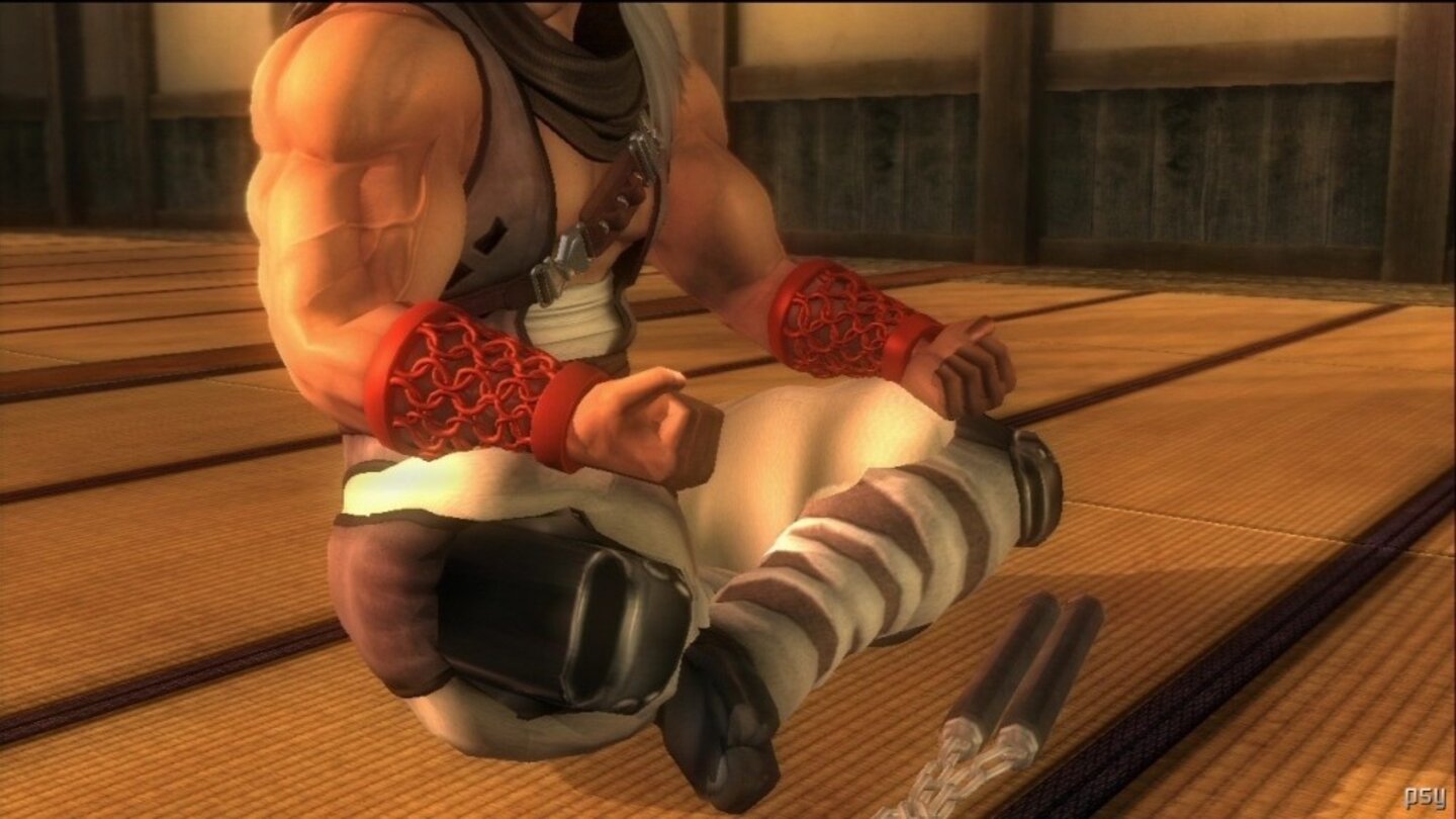 ninja gaiden sigma 1