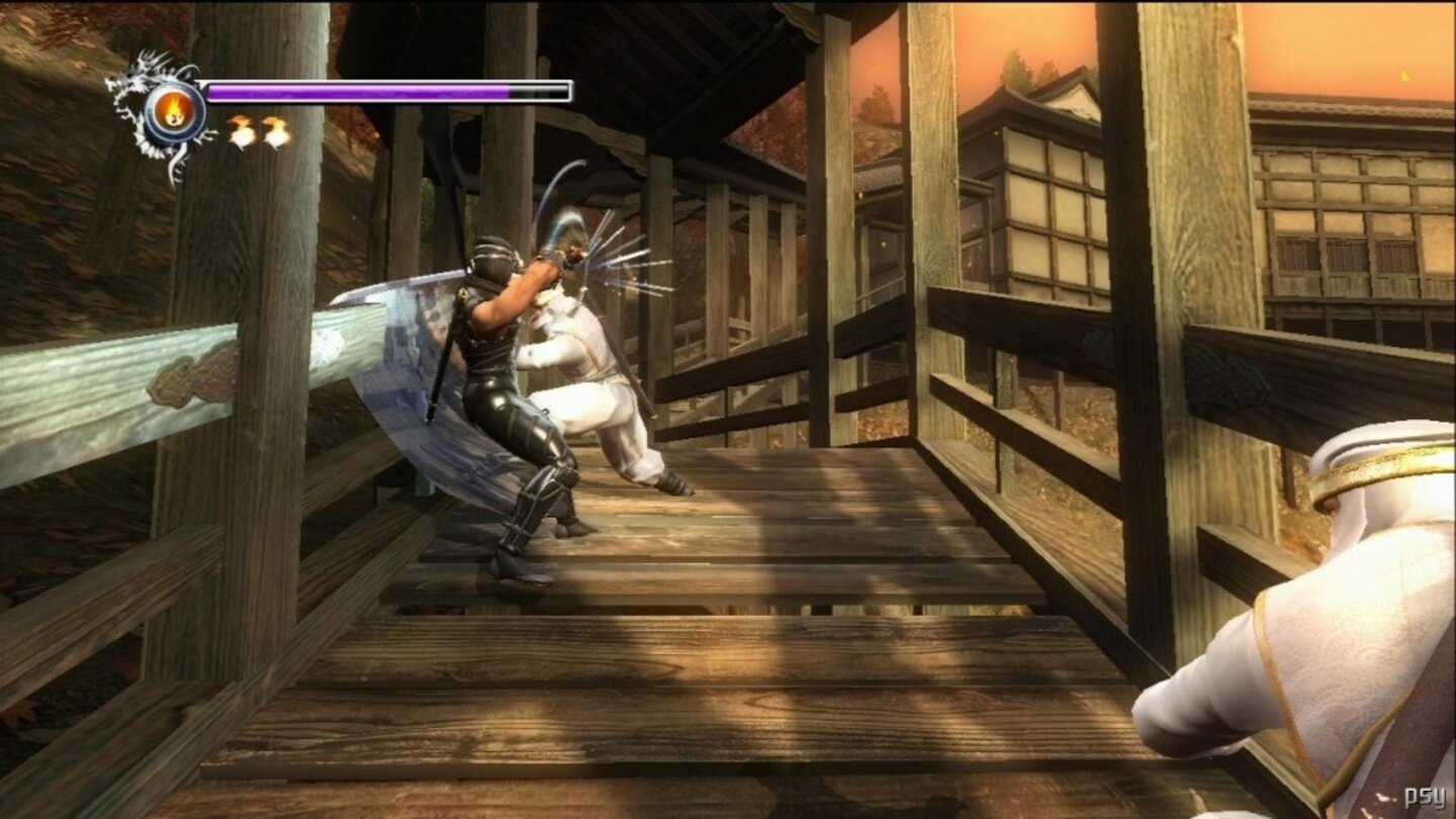 ninja gaiden sigma 21