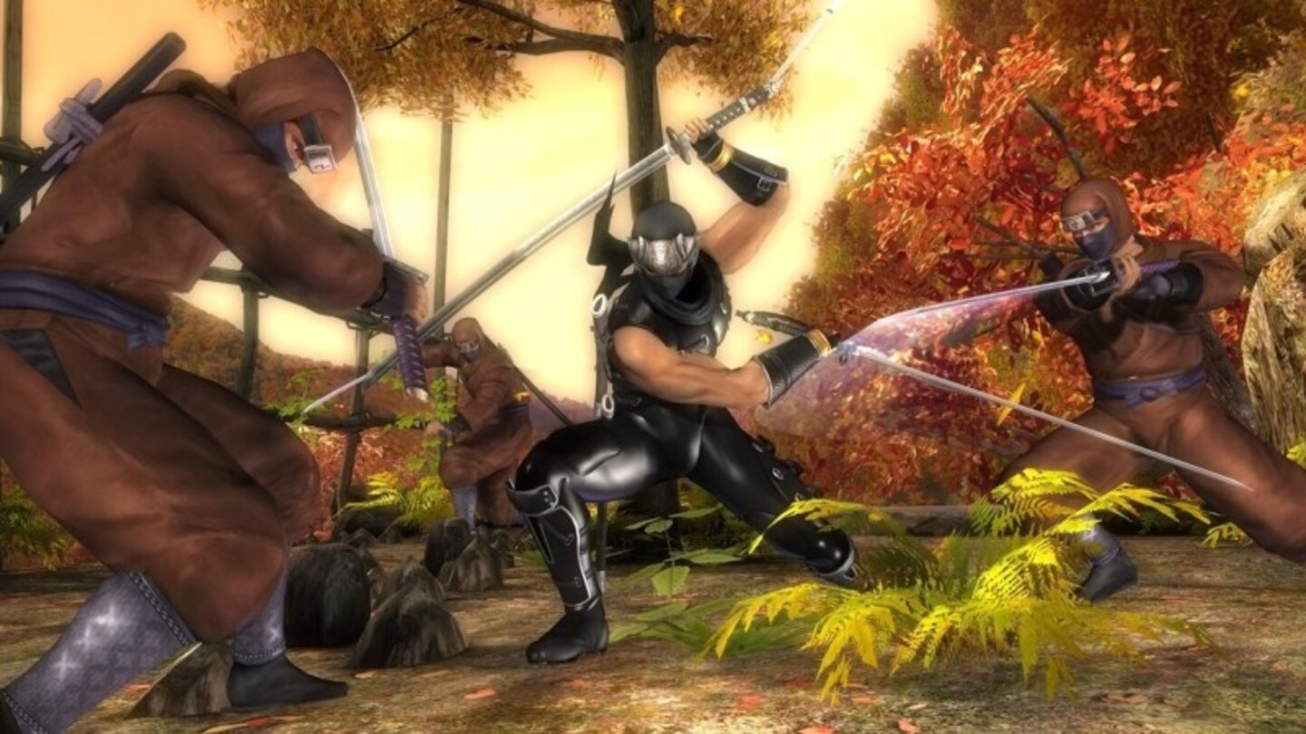 ninja gaiden sigma 25