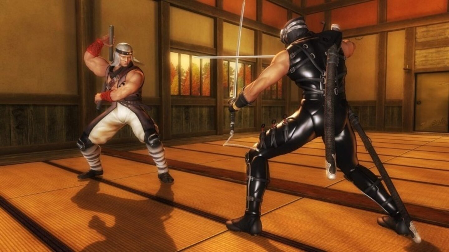 ninja gaiden sigma 28