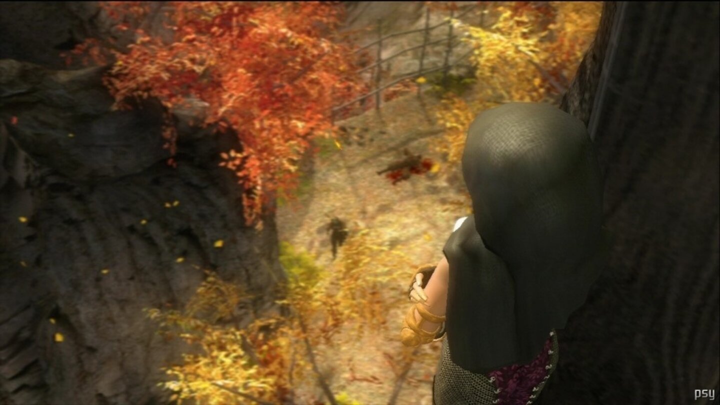 ninja gaiden sigma 4