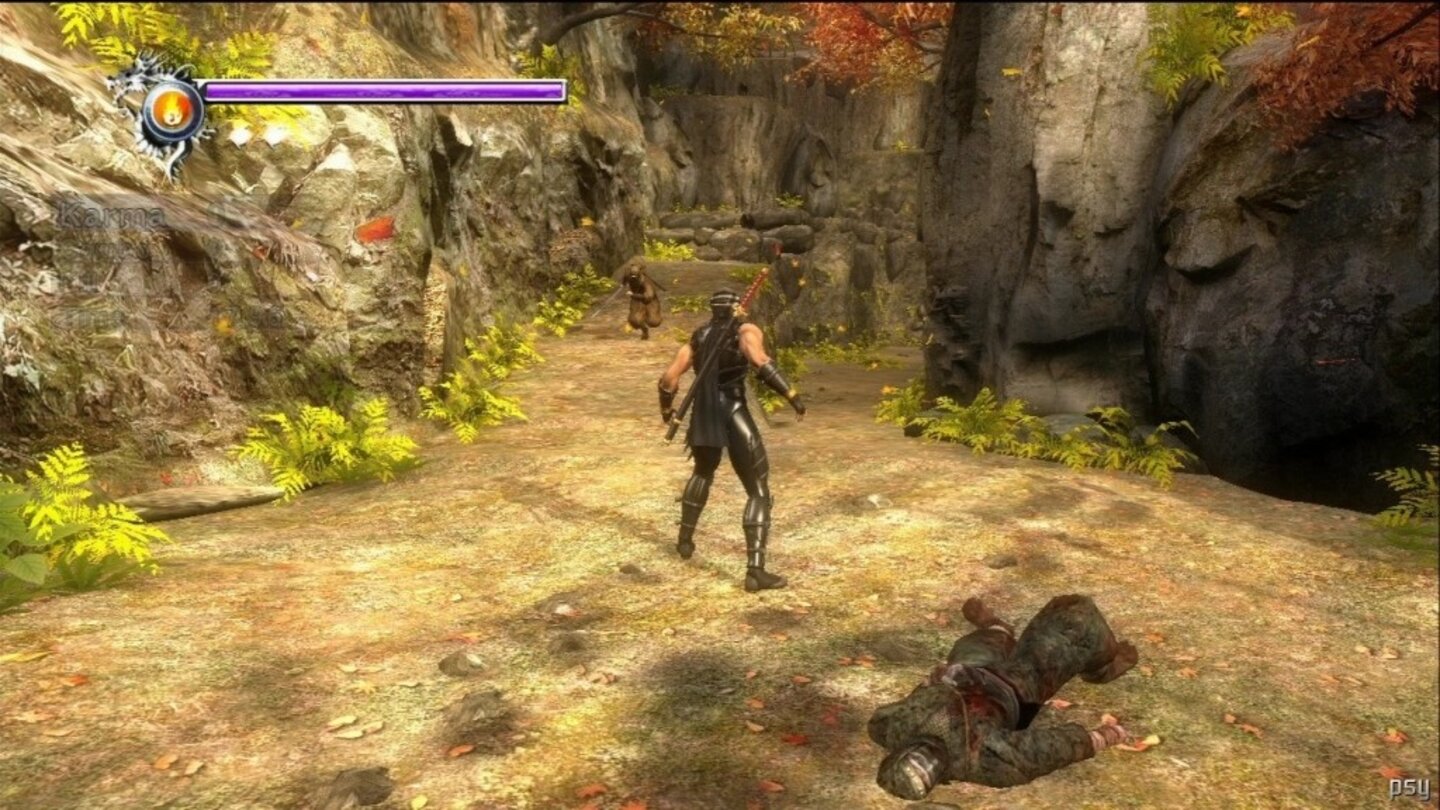 ninja gaiden sigma 5