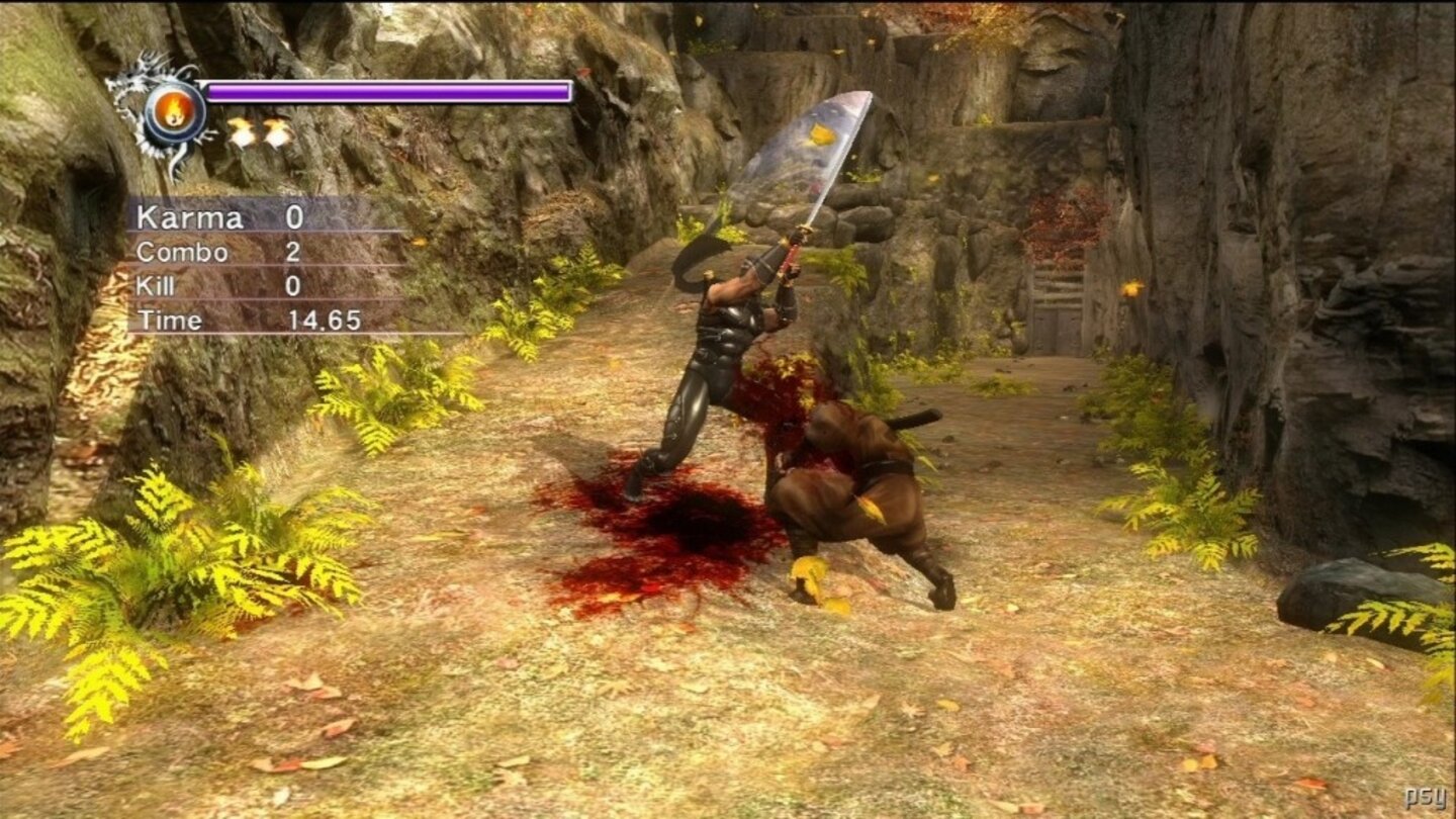 ninja gaiden sigma 6