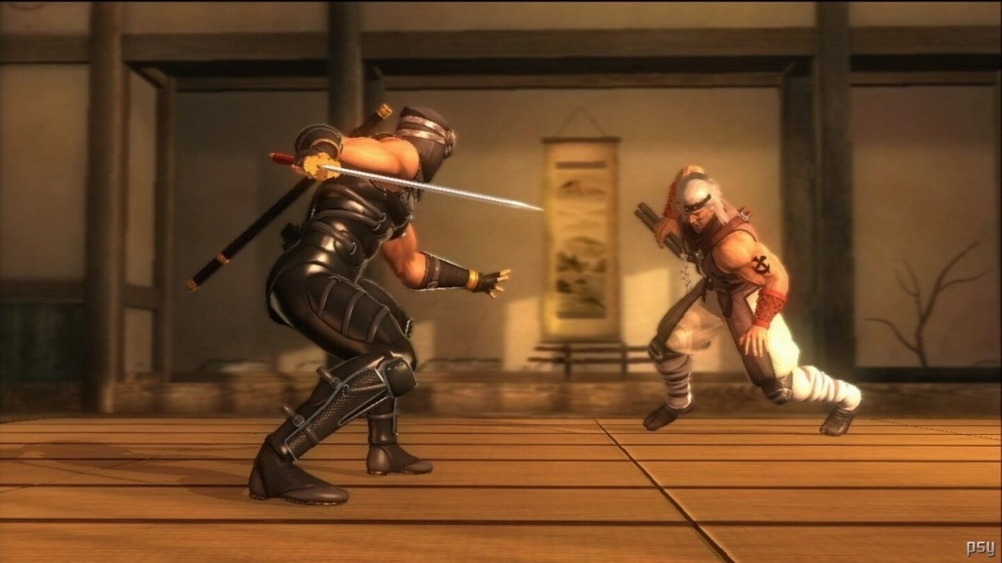 ninja gaiden sigma 8