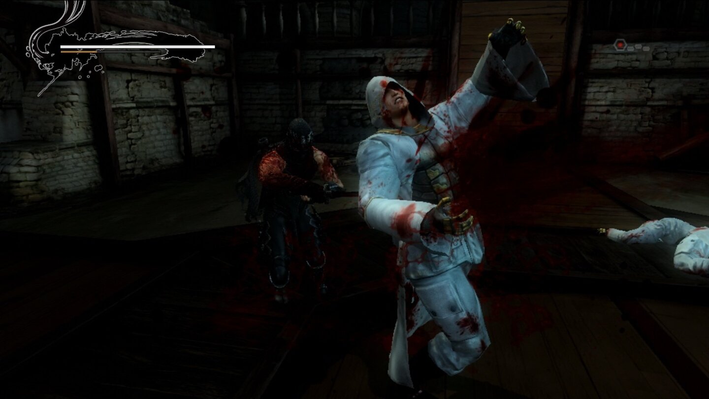 Ninja Gaiden 3