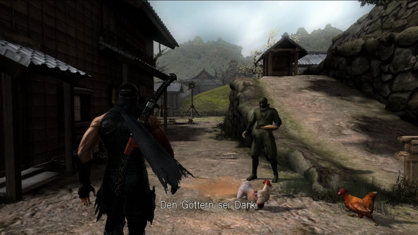 Ninja Gaiden 3