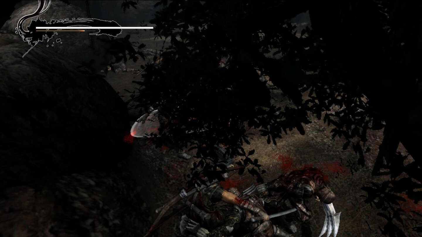 Ninja Gaiden 3Suchbild mit Ninja: Die Kamera funktioniert über weite Strecken, gelegentlich gibts aber auch Ausfälle.