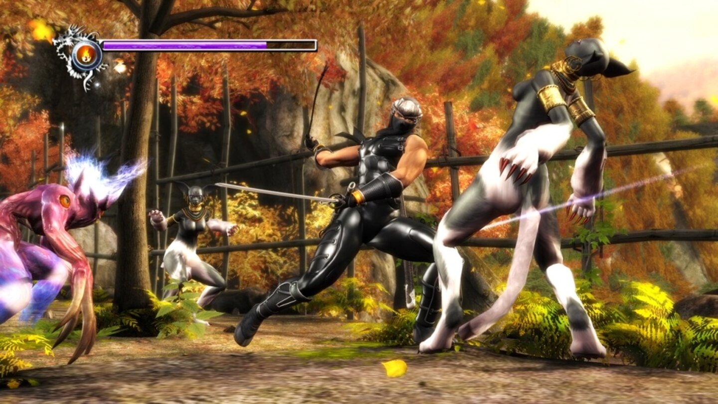 NinjaGaidenSigmaPS3-11513-959 1