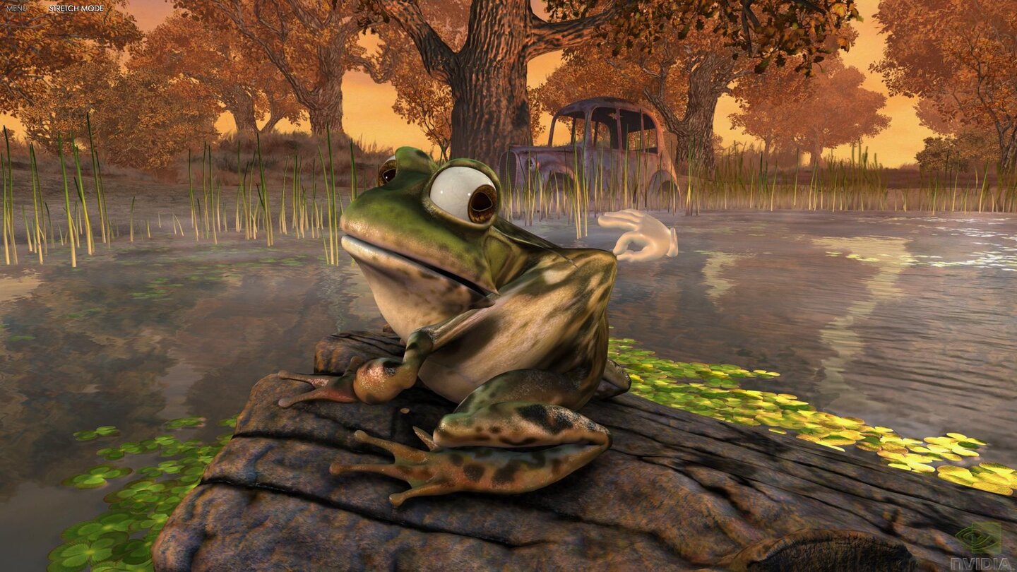 Nvidia Demo - Froggy