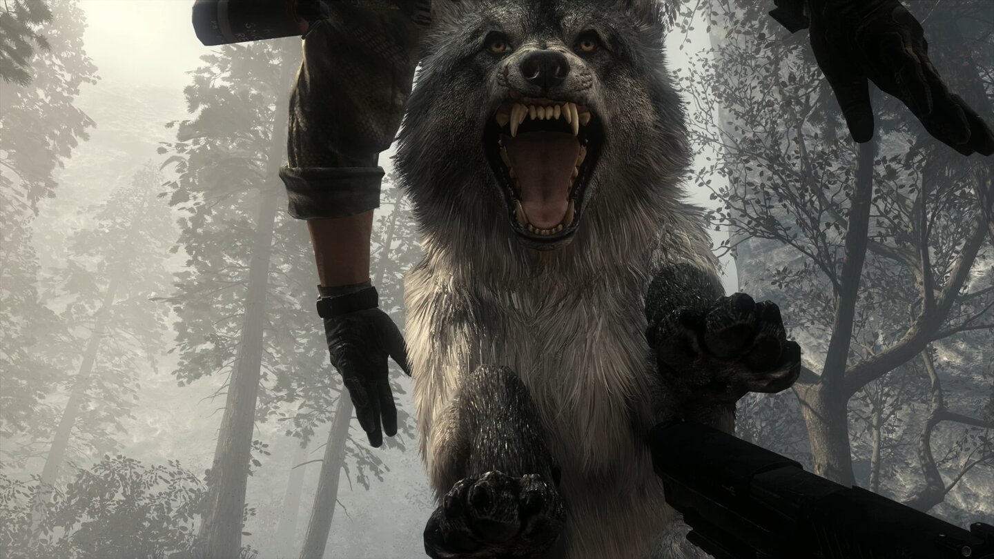 Die selbe Szene in der PC-Version zeigt dank aktivierter Nvidia Hairworks-Technik einen wesentlich detailierteren Wolf mit einer erweiterten Fell-Struktur.