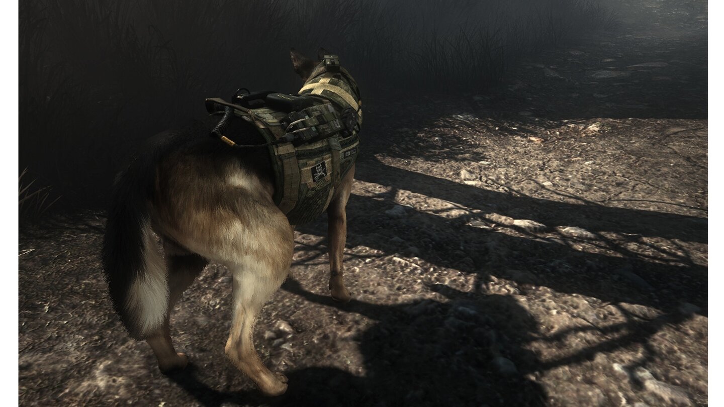 Hund Riley aus Call Of Duty: Ghosts und seine Artgenossen wurden erstmals von Nvidias Hairworks-Technologie berechnet. Im Fall von Riley werden 500.000 einzelne Haare berechnet und reagieren auf ihre Umgebung und Umwelteinflüsse.