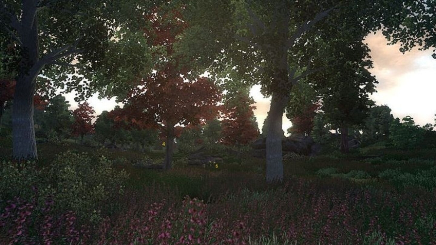 Oblivion Vegetation