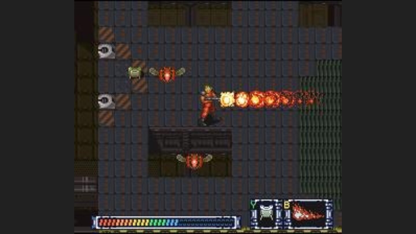 These flying insects tend to swarm your character