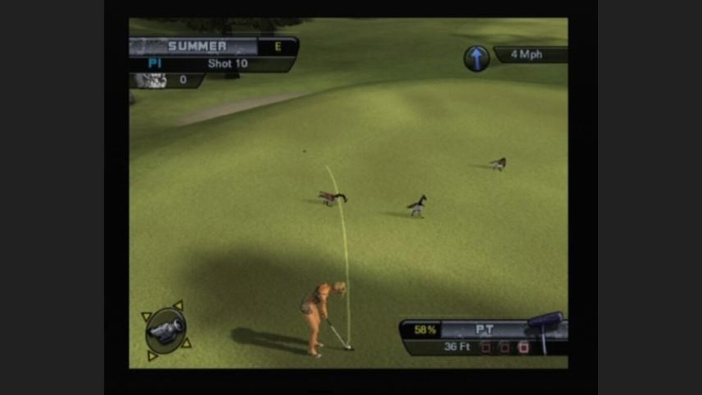 Who let those ducks walk around, they better not ruin my strike