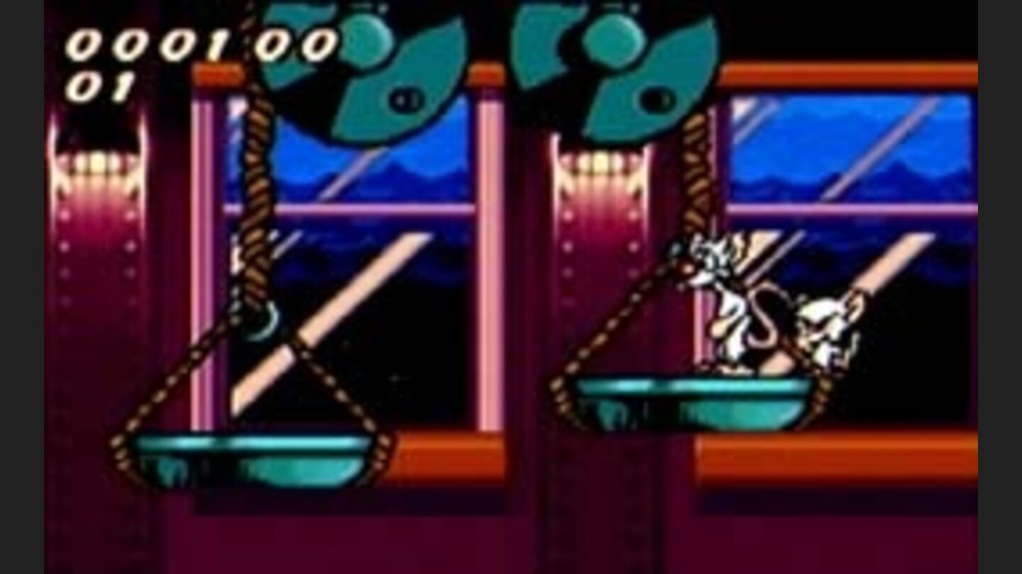 PinkyandTheBrain 1