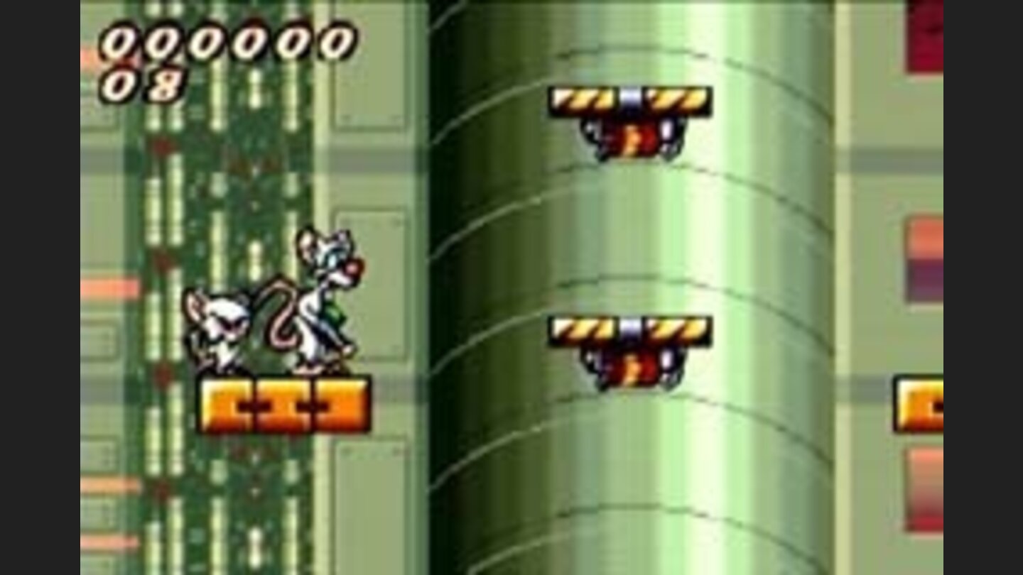 PinkyandTheBrain 5