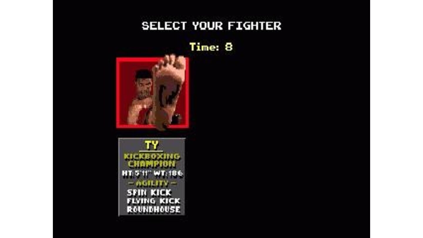 Select one of the four fighters
