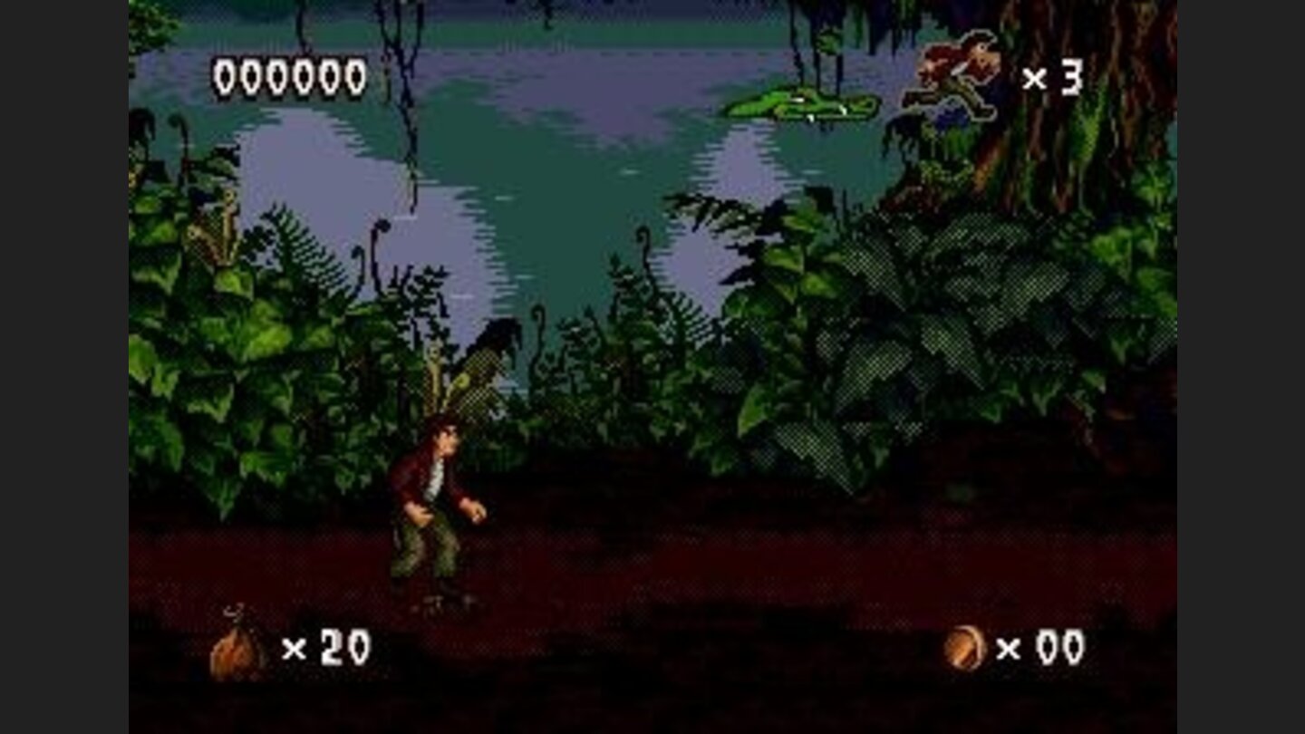 Through the swamps...