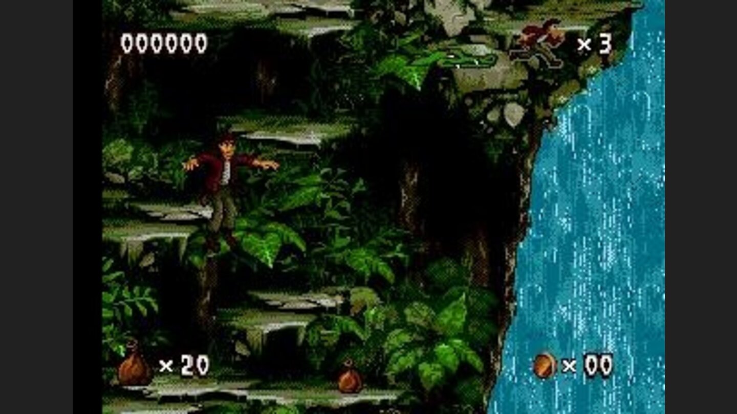 Waterfall level