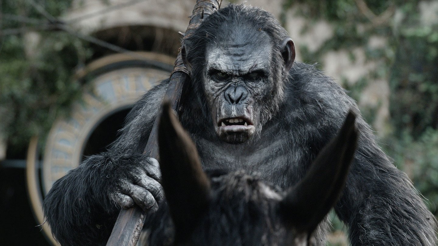 Planet der Affen: RevolutionCaesars General Koba steigt sein Hass auf die Menschen zu Kopf...