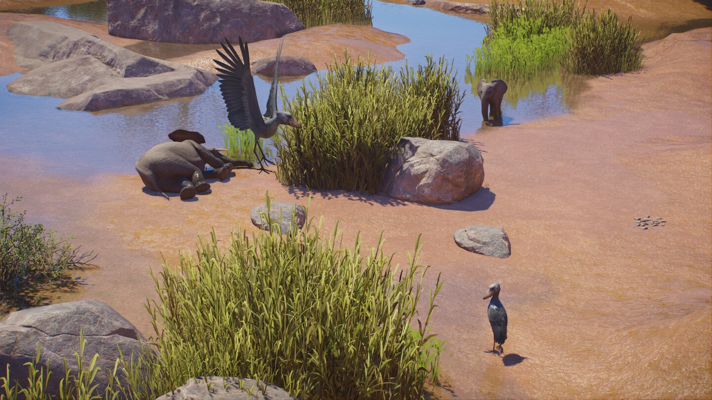 Planet Zoo 2 17