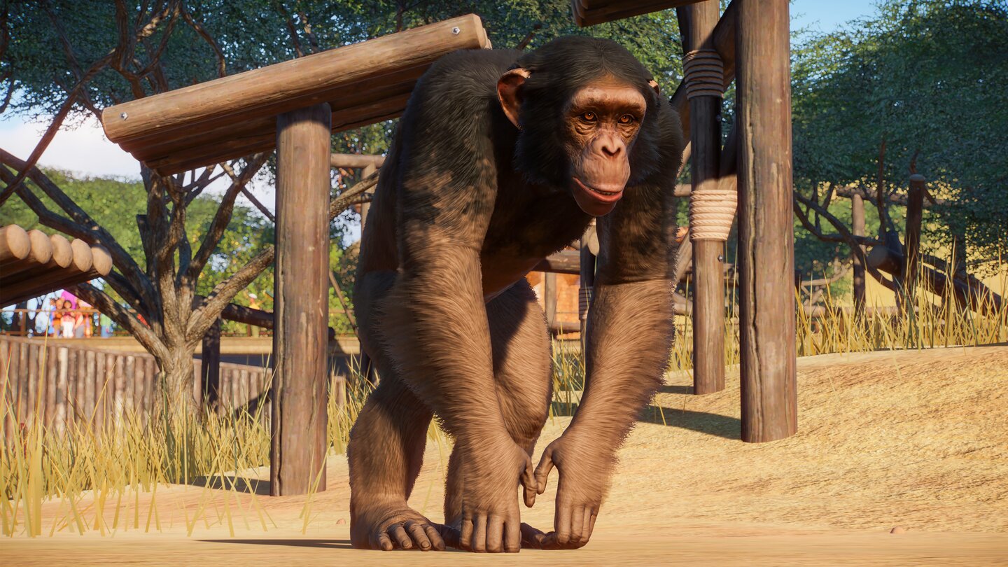 Planet Zoo