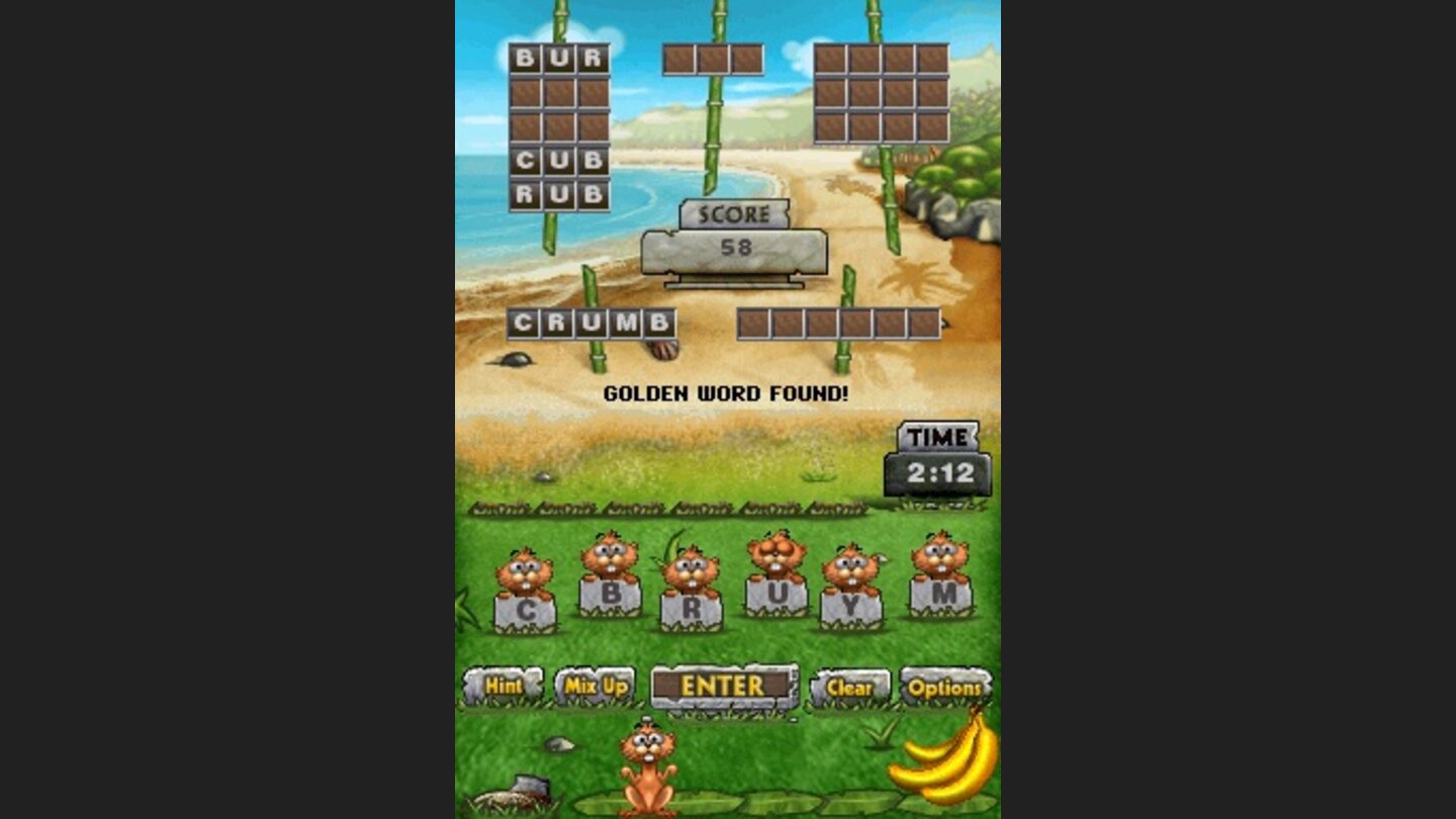 Pogo Island DS 8