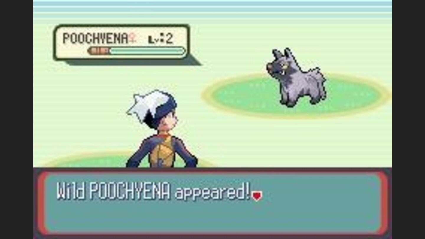 He doesnt look friendly...