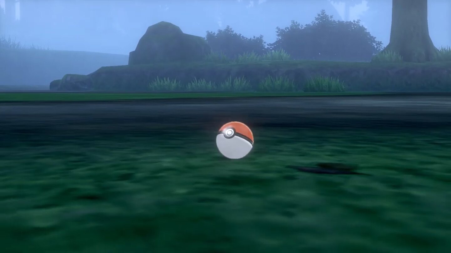 Pokémon Schwert + Schild