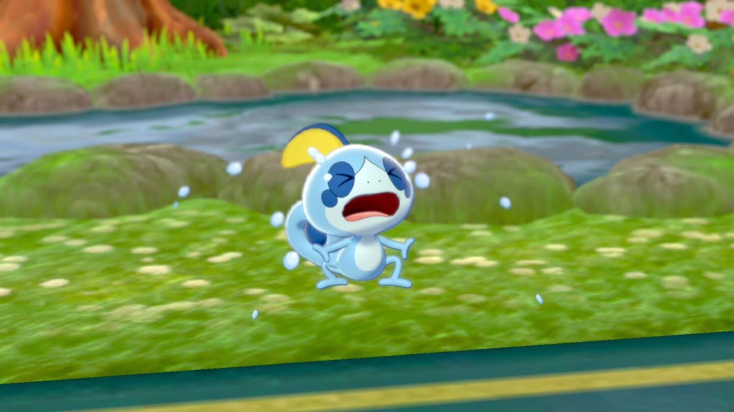 Pokémon Schwert + Schild