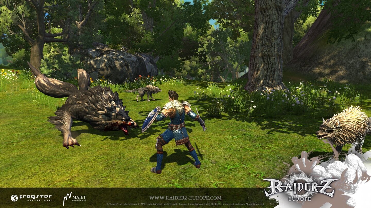 RaiderZ