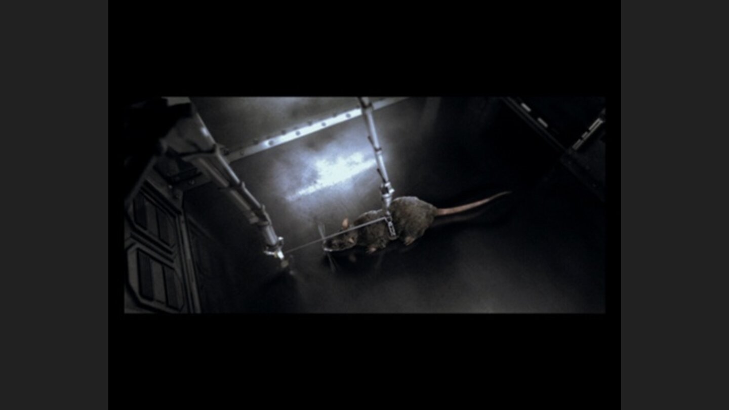 Ratmanía 1