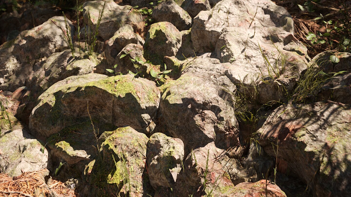 Redwood Forest UE5 Demo_9