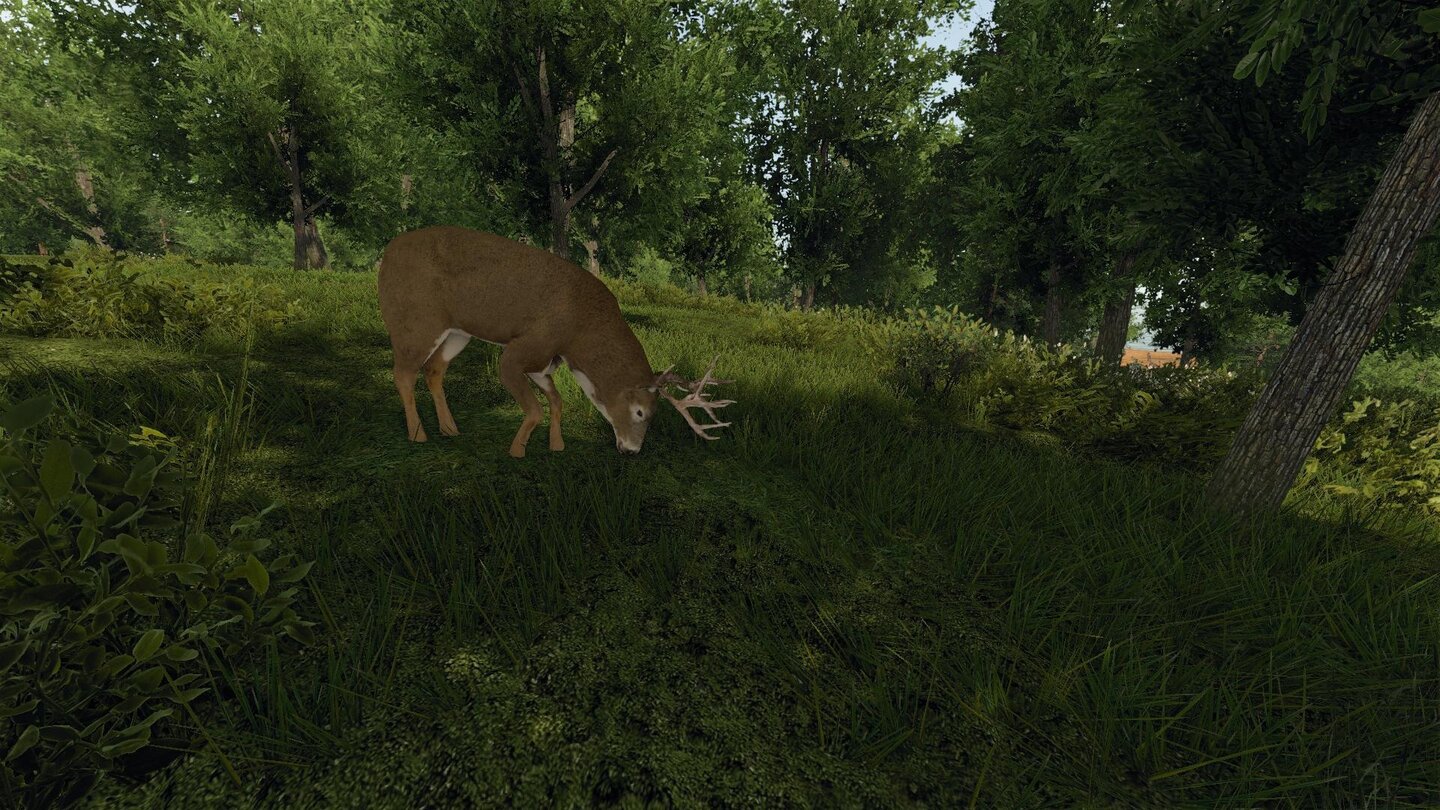 Reign of Kings - Screenshots