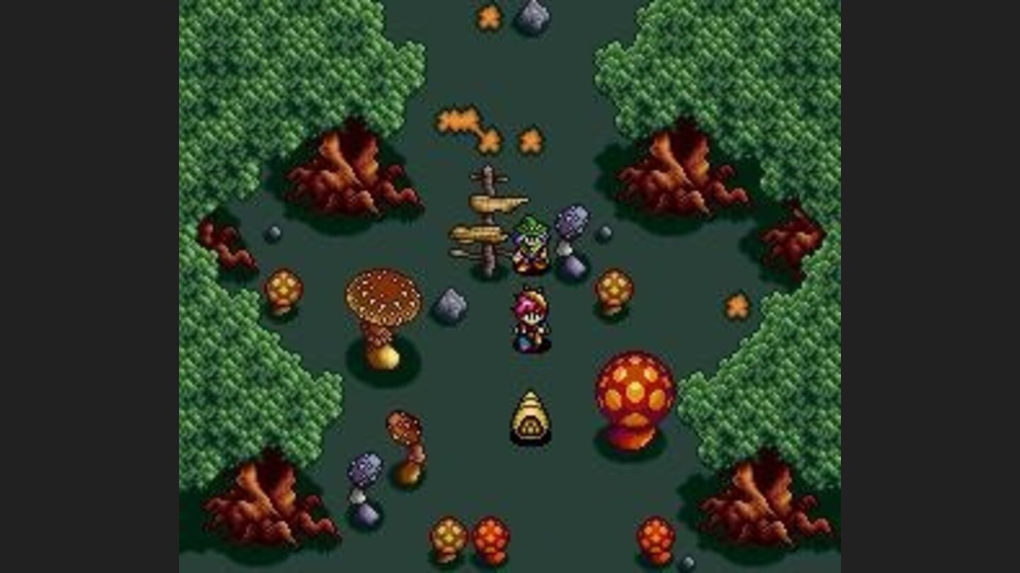 Mushroom forest