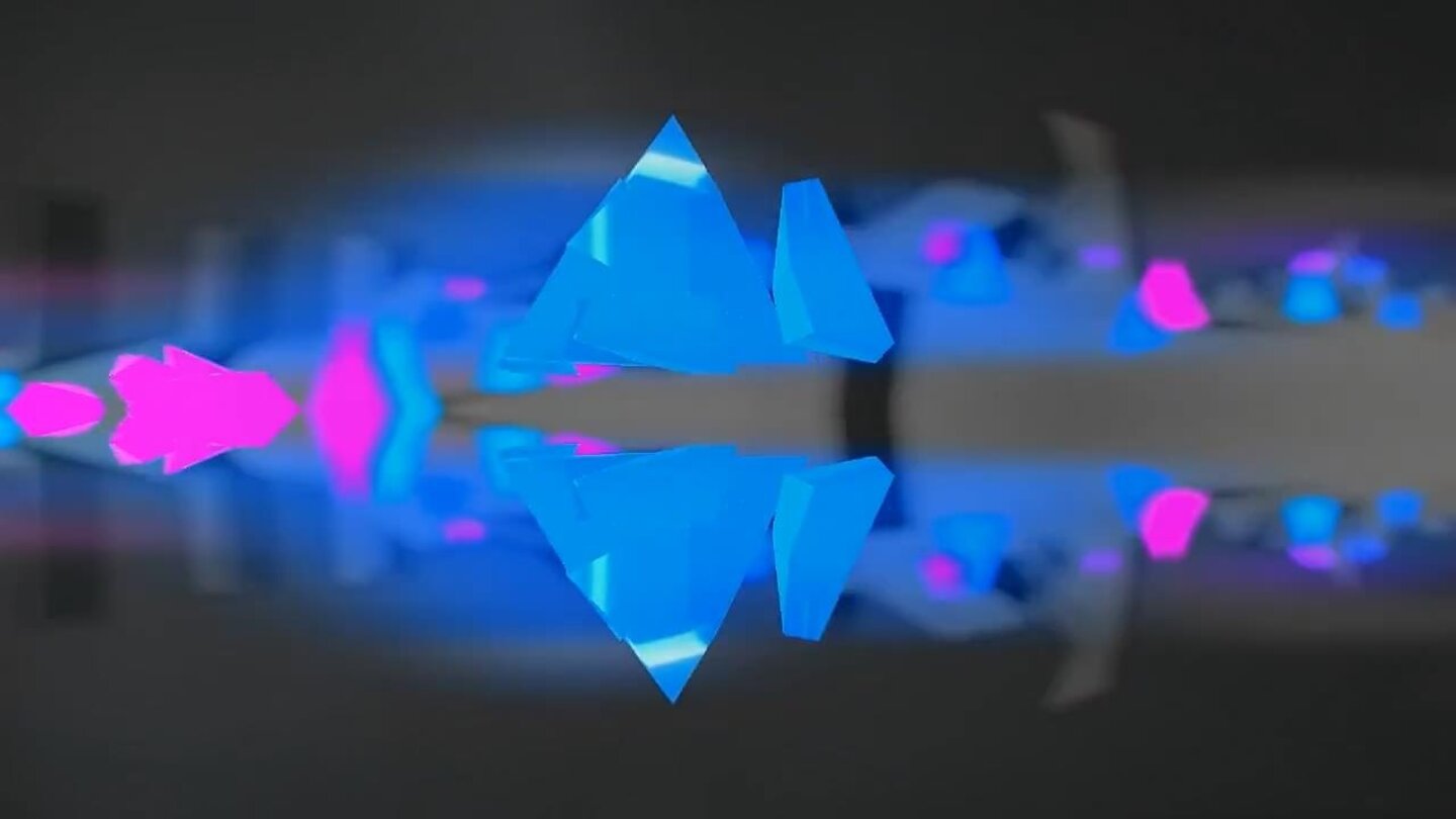 Revision 2013 project ion