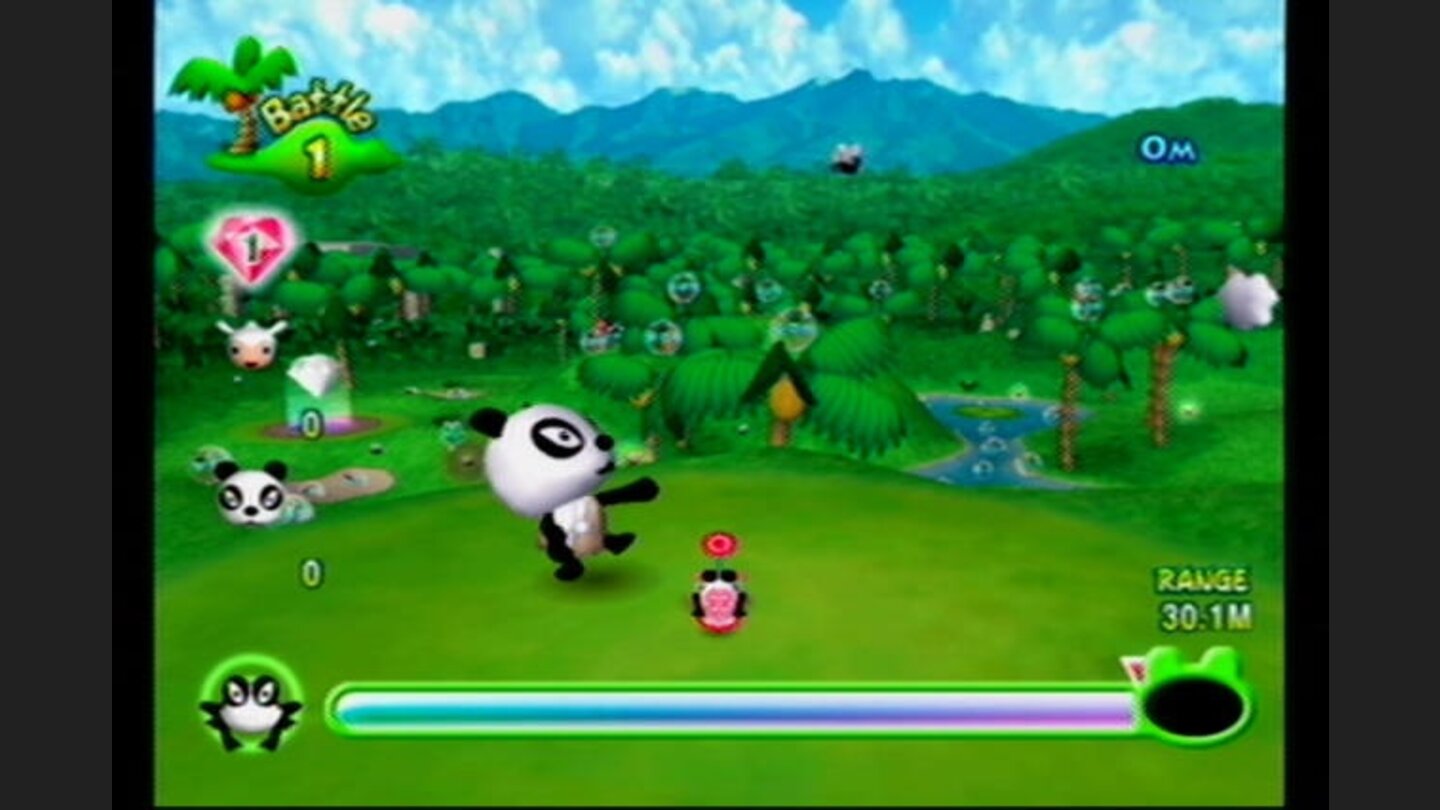 This panda has a good eye