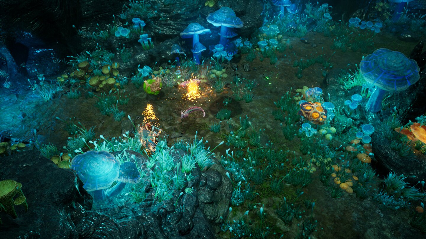 Rise Again - Screenshots