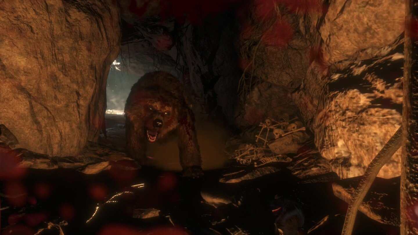 Rise of the Tomb Raider (Xbox One)In Höhlen finden wir nicht nur Schätze, sondern auch übel gelaunte Wildtiere.