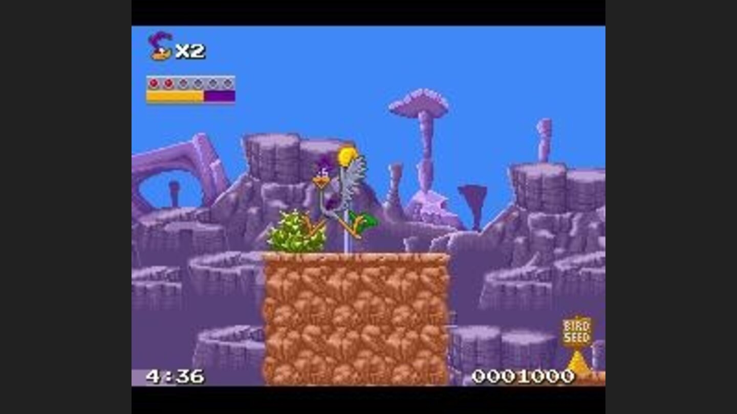 Cactus hurts!