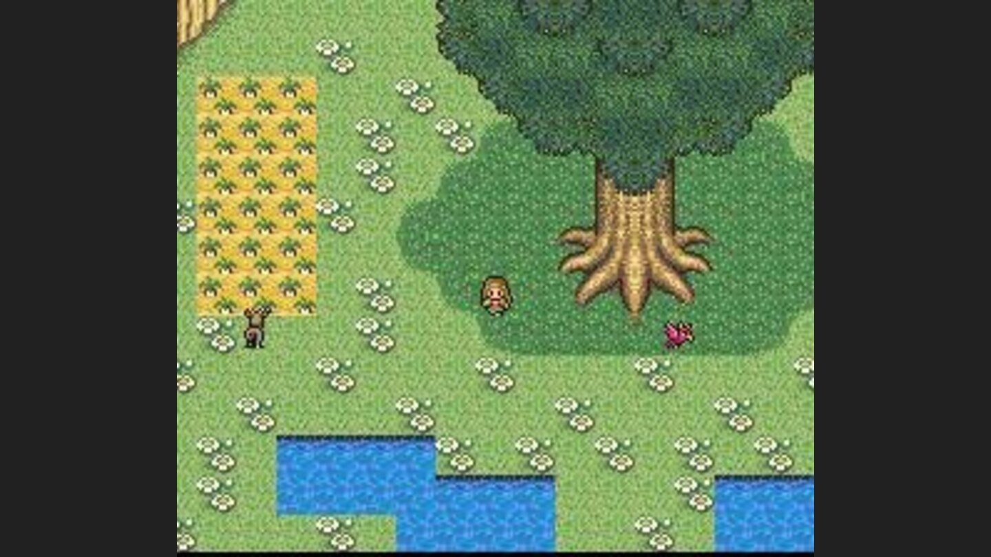 The ranger starts in a nice place: animals, flowers, etc.