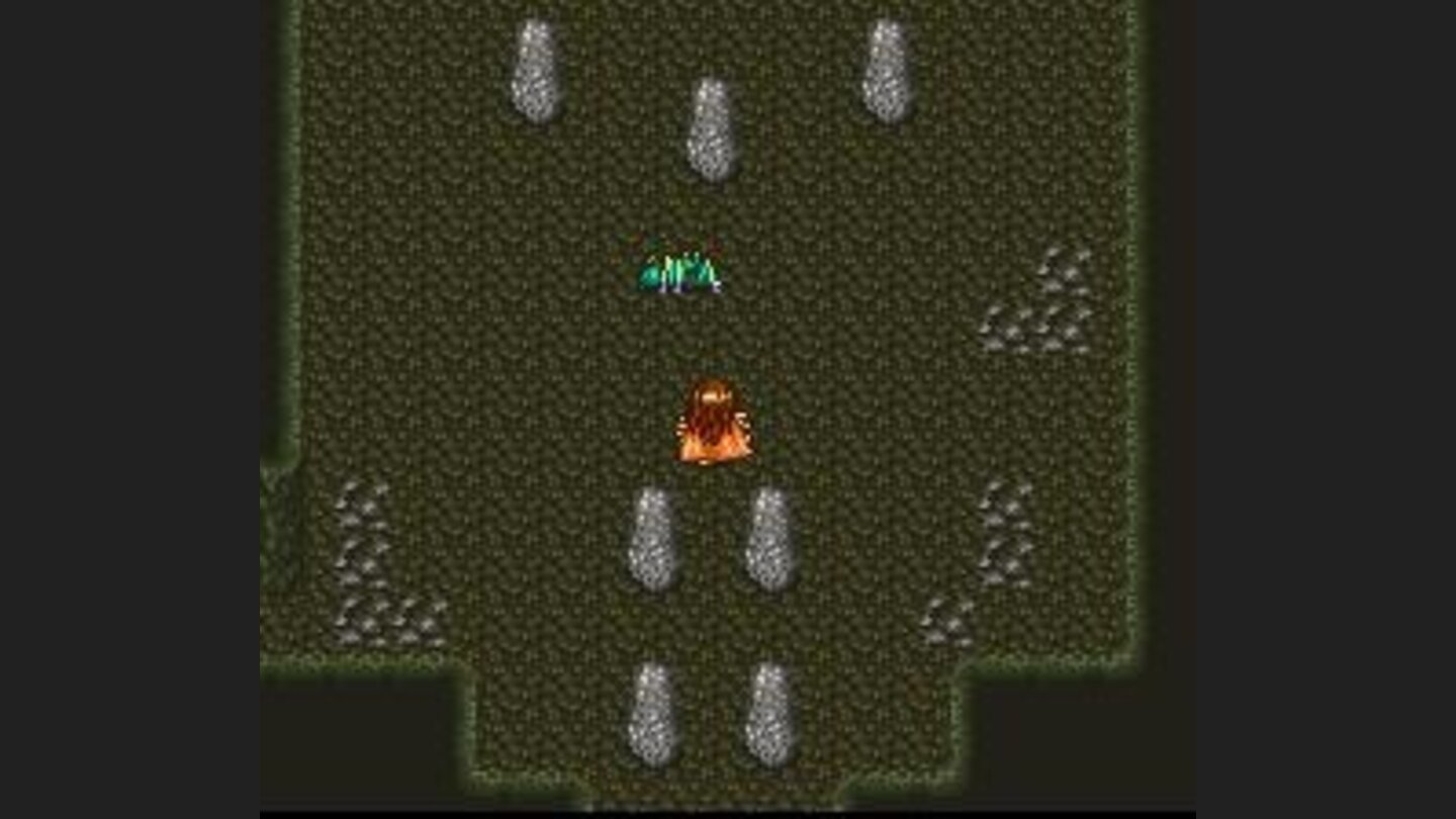 The Emperor Leon and Gerard in a dungeon. Visible enemies