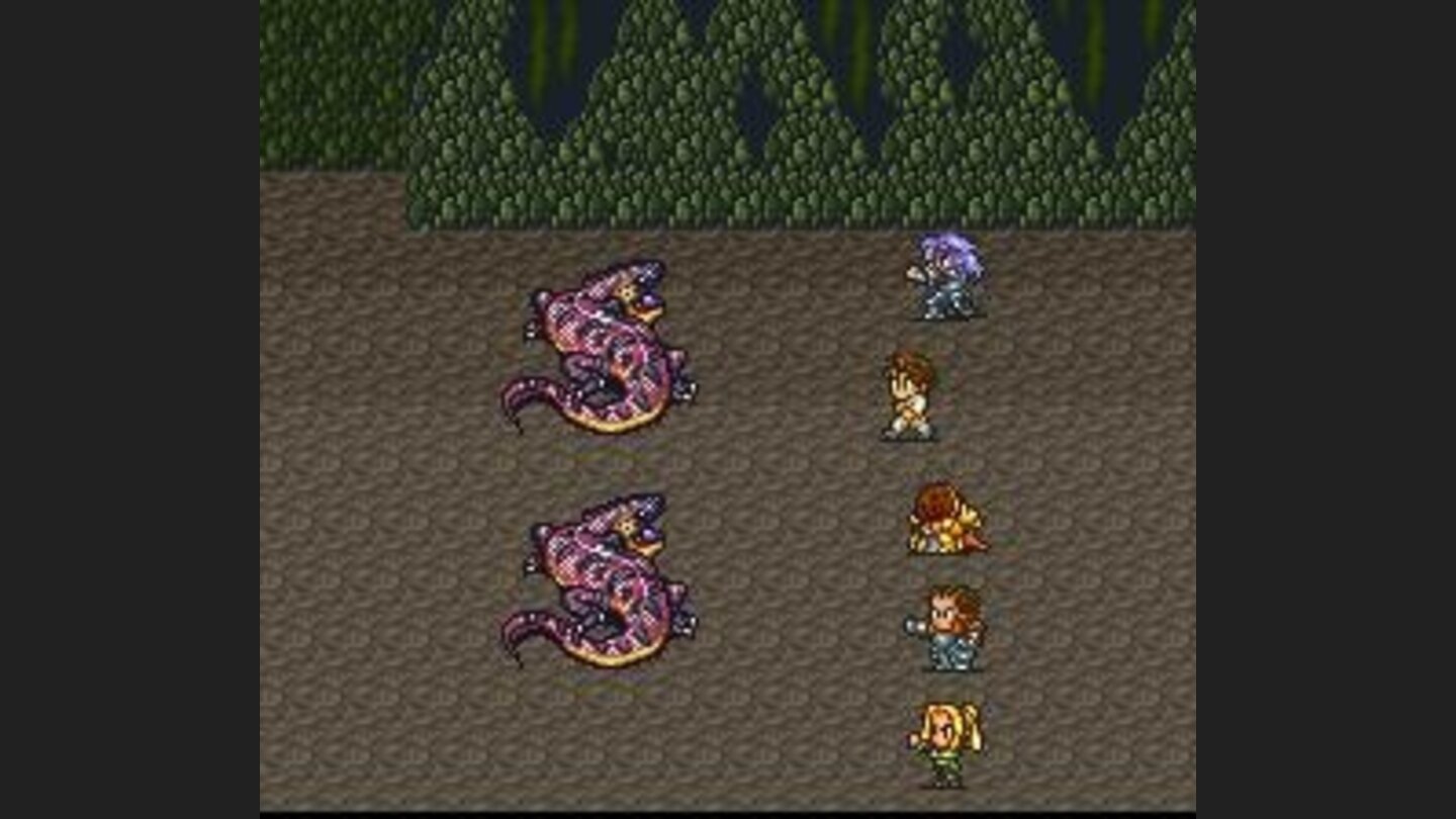 Fighting snakes
