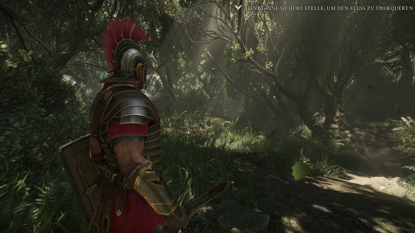 Ryse Partikel Niedrig