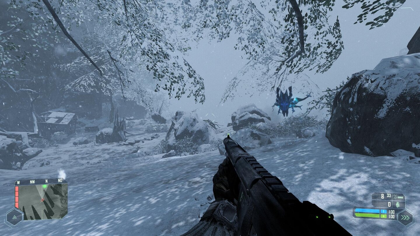 Schnee und Eis in Crysis