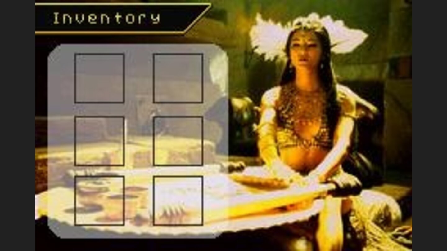 Pause the game to access this screen, where the main items will be stored later in the adventure.